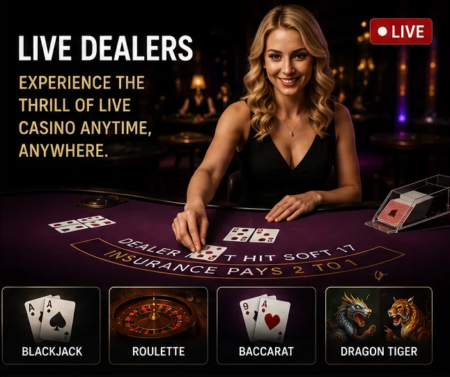 Ζωντανό τραπέζι roulette στο live casino της Vavada με dealer σε πραγματικό χρόνο